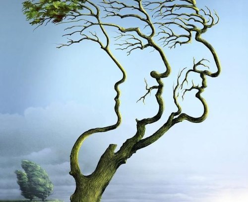 Kinésiologue au pays basque : libération des mémoires ancestrales et du trans-générationnel (ou mémoire familiale)
