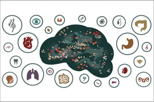 Psychosomatisation et kinésiologie